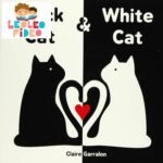 Black and white cat