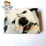 Perro y otros Canidos