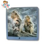 Animales en Familia II