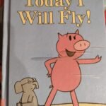 Today I will Fly