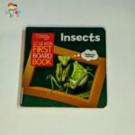 Insects