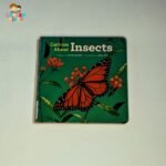 Curious about insects