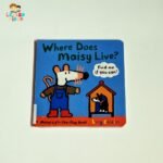 Where does Maisy live?