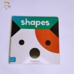 Shapes