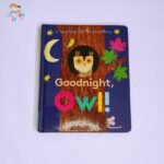 Goodnight Owl