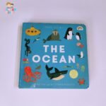 The Ocean
