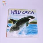 Wild Orca