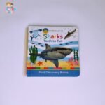 Sharks Teeth to Tail