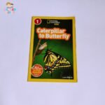 Caterpillar to Butterfly