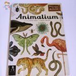 Animalium