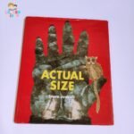 Actual Size