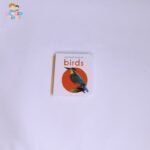 My first book of birds