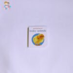 My first book of baby animals