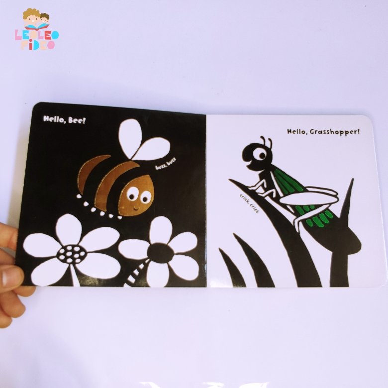 Hello, Bugs! – Leoleofideo.com