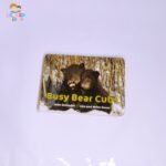 Busy Bear Cubs