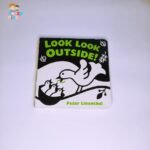 Look Look Outside