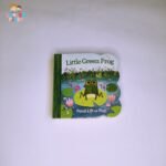 Litt Green Frog