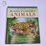 Rain Forest Animals