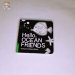 Hello, Ocean Friends