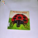 The Grouchy Ladybug