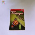 La vida de una mariposa