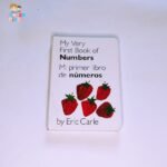 Mi primer libro de números