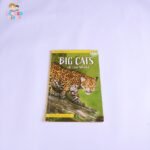 Big Cats of the world