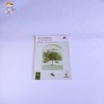 El Cornizuelo Árboles