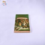 Afternoon on the Amazon (Magic Tree House #6)