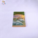 Dolphins at Daybreak (Magic Tree House #9)