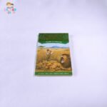 Lions at Lunchtime (Magic Tree House #11)