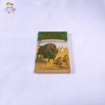 Buffalo Before Breakfast (Magic Tree House #18)